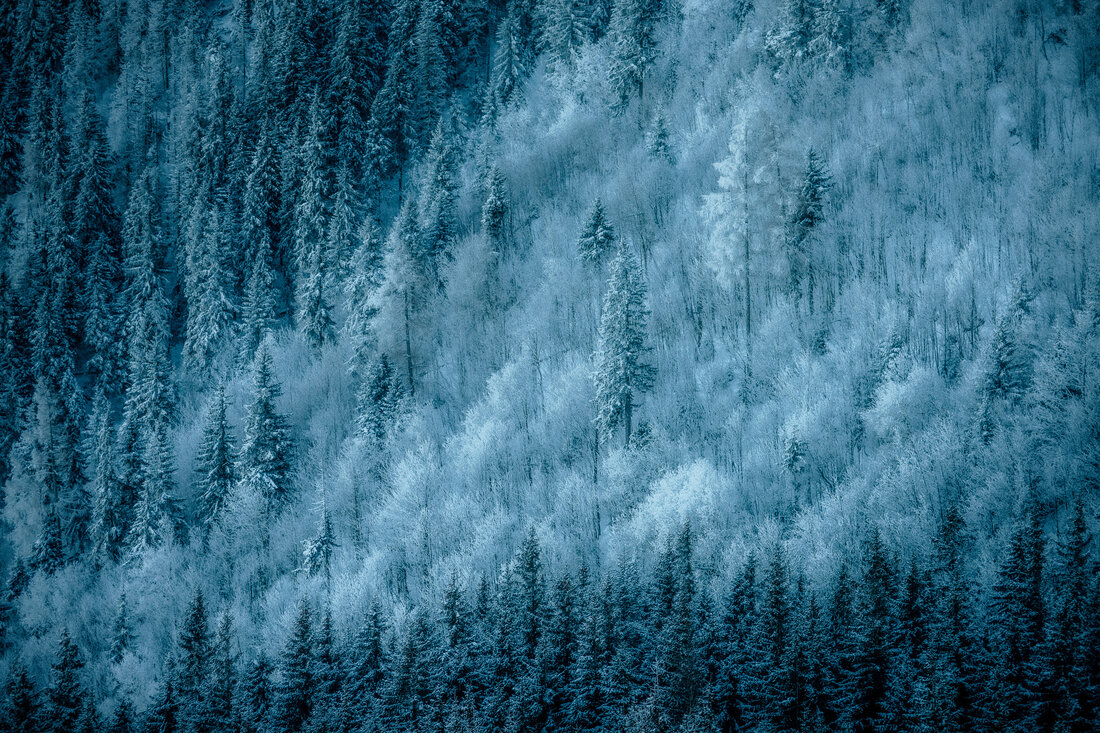 004-_DSC2392_Wystawa-Bartek-Muracki-W-Tatrach