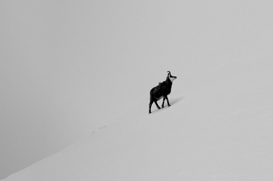 016-DSCF1016_Wystawa-Bartek-Muracki-W-Tatrach